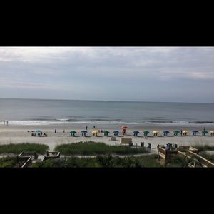 Meet your Posher, Hayden